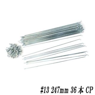 スポーク - WINJUNGLE -ウインジャングル-